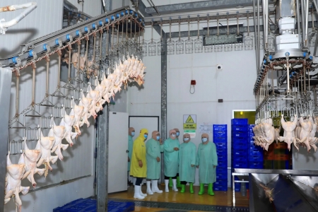 An toàn thực phẩm tại Hà Nội: Nhiều vi phạm chưa được khắc phục triệt để