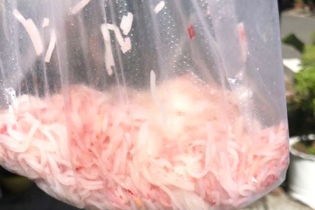 Đà Nẵng: Đình chỉ khẩn cấp cơ sở sản xuất bị phản ánh bún tươi đổi màu bất thường