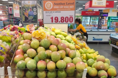 THISO hợp tác cùng THACO AGRI đưa nông sản chất lượng cao vào hệ thống Emart