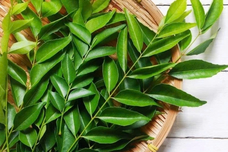 Bất ngờ với công dụng của loại lá quen thuộc: Không chỉ thơm ngon mà còn tốt cho sức khỏe