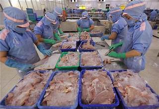 Tin vui: Xuất khẩu thủy sản vào Singapore, Việt Nam đứng trong TOP 3