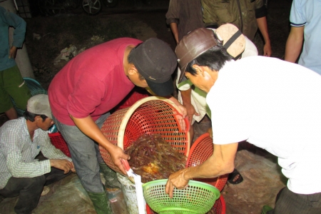 Tây Ninh phấn đấu tổng sản lượng nuôi trồng thủy sản đạt 174.000 tấn trong năm 2025