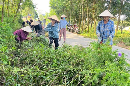 Hàng nghìn người tham gia tổng vệ sinh môi trường nông thôn ở Bắc Ninh