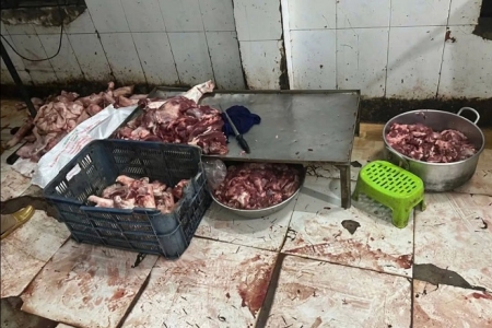 Quảng Ngãi: Phát hiện lò mổ lợn không rõ nguồn gốc, chuyển hồ sơ sang Công an xử lý