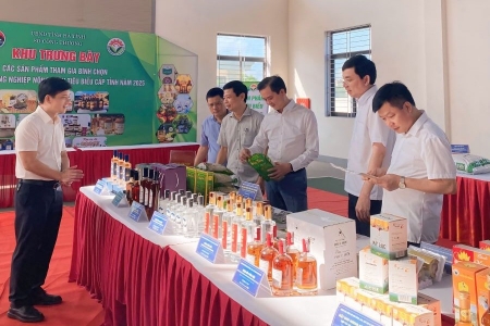 Hà Tĩnh: Công nhận 39 sản phẩm công nghiệp nông thôn tiêu biểu năm 2025