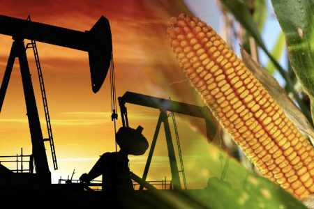 Sắc xanh lan tỏa, chỉ số MXV-Index tiếp đà phục hồi