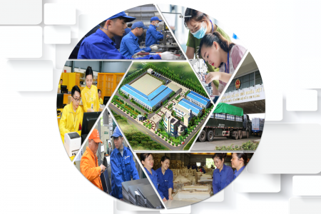 Lào Cai: Phát triển kinh tế tư nhân thành động lực quan trọng của địa phương