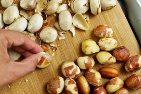 Nhiều người thường vứt bỏ hạt mít mà không biết rằng chúng chứa nguồn dinh dưỡng dồi dào