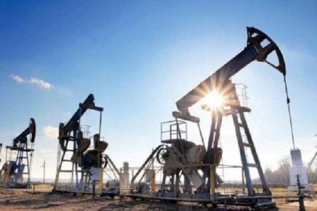 Giá xăng dầu hôm nay 14/8: Giảm mạnh, thấp nhất trong 2 tháng qua