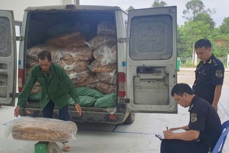 Hải quan Cao Bằng bắt giữ hơn 2,2 tấn lá thuốc lá nhập lậu