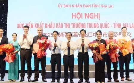 Gia Lai xúc tiến xuất khẩu vào thị trường Trung Quốc