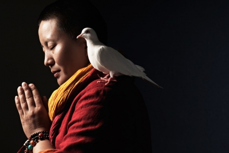 VPBank đồng hành cùng sự kiện âm nhạc với sự tham gia của nghệ sĩ Ani Choying Drolma