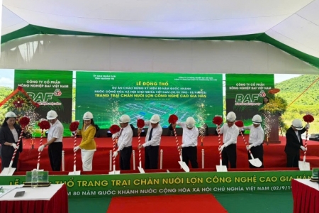 Quảng Trị khởi công dự án trang trại chăn nuôi lợn công nghệ cao hơn 2.400 tỷ đồng