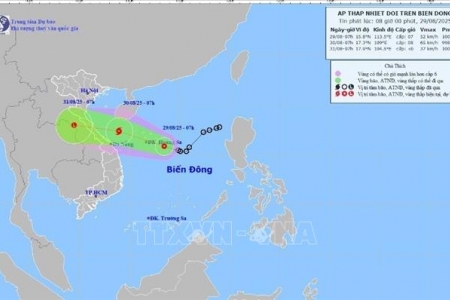 Khẩn trương ứng phó áp thấp nhiệt đới, 10 địa phương ven biển ban hành công điện