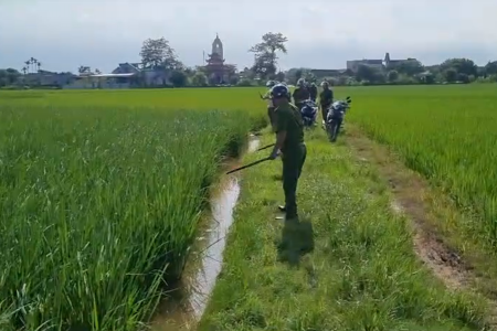 Hưng Yên: Tăng cường quản lý hành vi diệt chuột bằng điện