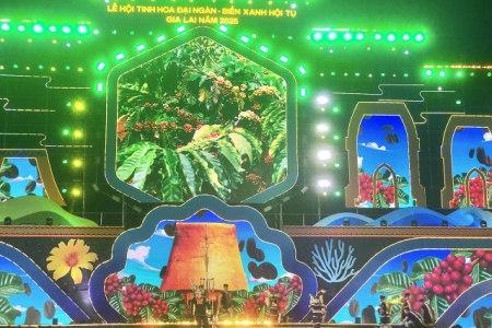 Gia Lai: Lượng khách du lịch dịp Lễ Quốc khánh 2/9 tăng 12,5%