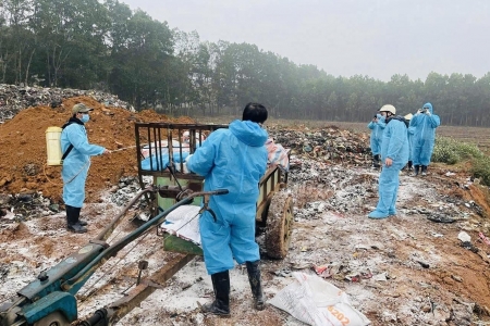 Thanh Hóa có 35 xã bước đầu khống chế được dịch tả lợn châu Phi