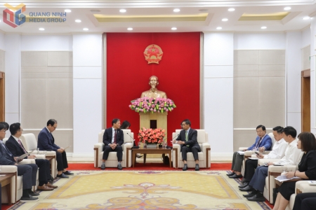 Phó Chủ tịch Thường trực UBND tỉnh Quảng Ninh tiếp và làm việc với Hiệp hội Doanh nghiệp Hàn Quốc tại Việt Nam