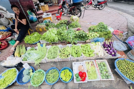 Sau mưa bão ngập úng, giá rau xanh tại Hà Nội tăng cao