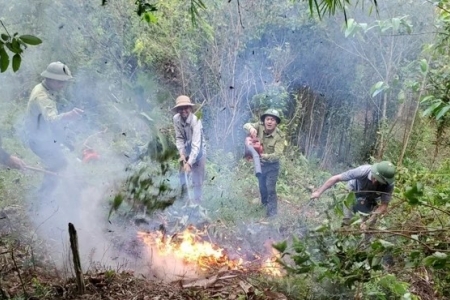 Hạt Kiểm lâm Bá Thước tập trung thực hiện tốt công tác bảo vệ và phát triển rừng