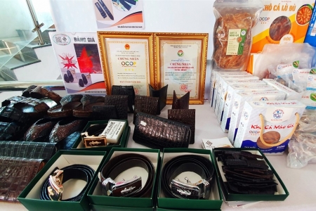 Cà Mau phê duyệt Chương trình hỗ trợ doanh nghiệp nâng cao năng suất, chất lượng giai đoạn 2026–2030