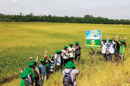 Petrovietnam và vai trò trụ cột an ninh lương thực quốc gia