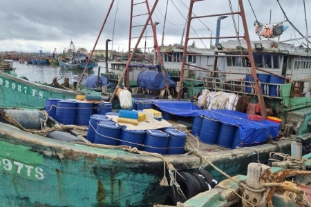 Quảng Trị: Xử lý 4 tàu cá có hành vi vi phạm về khai thác hải sản bất hợp pháp