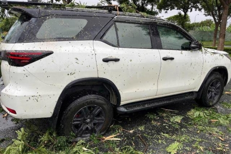 Giải cứu 6 người mắc kẹt trong ô tô bị cây đổ đè