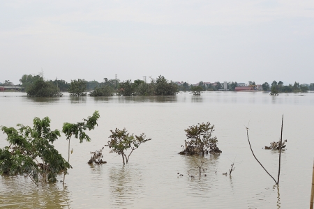 Ban Chỉ huy Phòng thủ dân sự tỉnh Bắc Ninh phát lệnh báo động số I trên sông Lục Nam