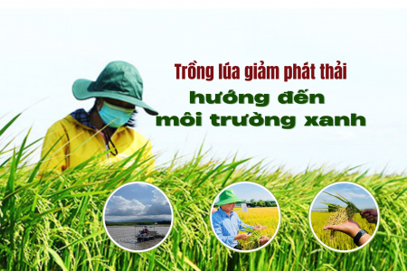 Phê duyệt Đề án giảm phát thải trồng trọt: Hướng tới an ninh lương thực và tăng trưởng xanh