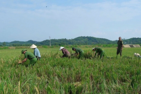 Mưa bão gây thiệt hại hơn 7.400ha cây trồng tại Thanh Hóa