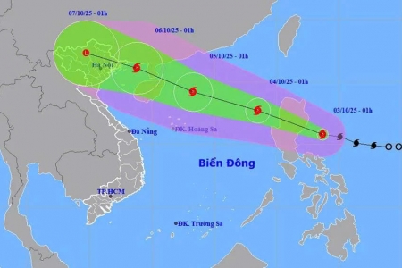 Bão Matmo khi vào Vịnh Bắc Bộ có phạm vi ảnh hưởng rất rộng