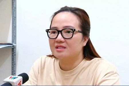 Khởi tố, bắt tạm giam nữ doanh nhân Hoàng Hường