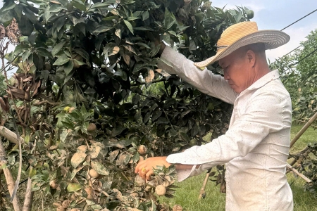 Bắc Ninh: Sẵn sàng phương án xử lý sự cố ô nhiễm môi trường, khắc phục hậu quả lũ lụt