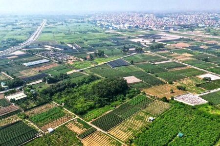 Hưng Yên: Đấu giá đất ở tại các xã Tiên Tiến, Hồng Quang và Việt Tiến trong tháng 10