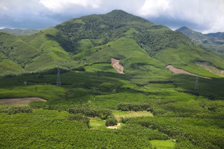 Thủ tướng yêu cầu doanh nghiệp nhà nước báo cáo kết quả sản xuất, kinh doanh trước ngày 25/10