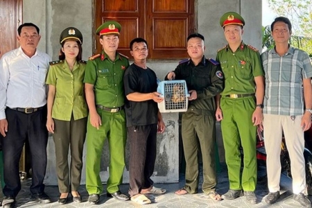 Hà Tĩnh: Người dân giao nộp cá thể culi nhỏ quý hiếm để thả về môi trường tự nhiên