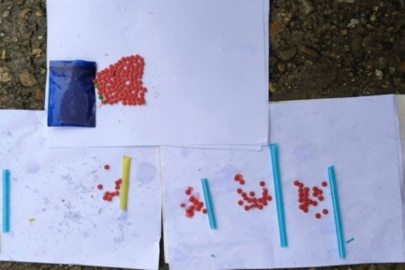 Quảng Trị: Bắt quả tang 2 đối tượng mua bán, vận chuyển ma túy tổng hợp