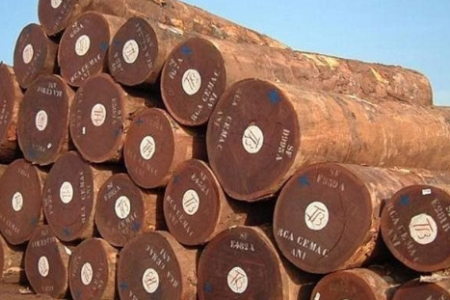 Việt Nam mở nhà máy “vàng xanh” lớn nhất thế giới