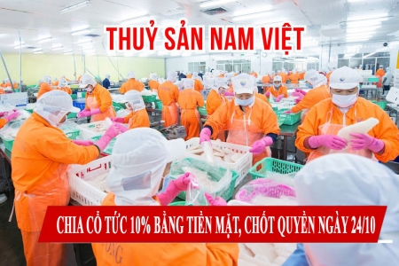 Thủy sản Nam Việt chia cổ tức 10% bằng tiền mặt, chốt quyền ngày 24/10