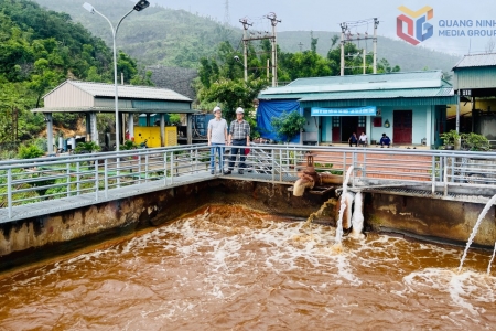 Quảng Ninh tăng cường xử lý chất thải trong bảo vệ môi trường