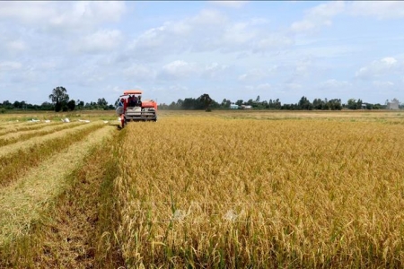 Đẩy mạnh chuyển đổi số và chiến lược phát triển khuyến nông đến năm 2030