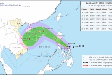 Bão Fengshen đang tiến vào khu vực Bắc Biển Đông, tốc độ 20-25km/h