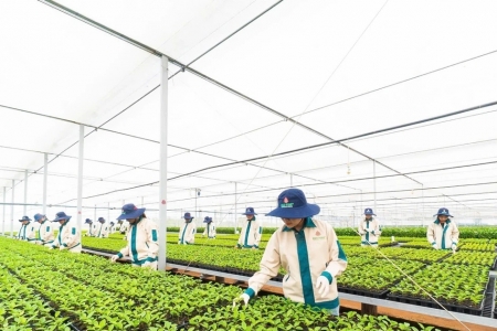 Gia Lai bứt phá với dự án nông nghiệp công nghệ cao hơn 1.600 tỷ đồng