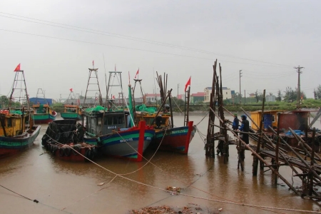 Ninh Bình chủ động các biện pháp ứng phó với bão số 12