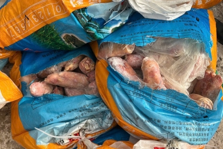 Vận chuyển 3 tạ chân lợn đông lạnh bốc mùi, lái xe kiêm chủ hàng bị phạt 12 triệu đồng