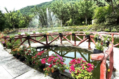 Khu thăm quan điện mặt trời An Hảo: Điểm đến check-in lý tưởng