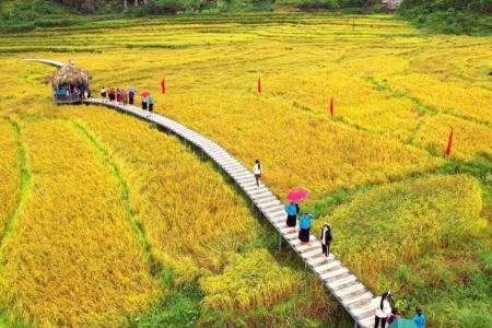 Ngày 2/11, khai hội Mùa vàng miền soóng cọ xã Đông Ngũ