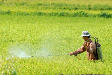 Đề xuất danh mục mới thuốc bảo vệ thực vật được phép và cấm sử dụng tại Việt Nam