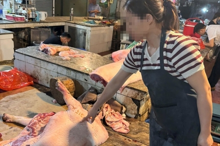Hà Nội: Khởi tố đường dây tuồn thịt lợn nhiễm dịch ra chợ